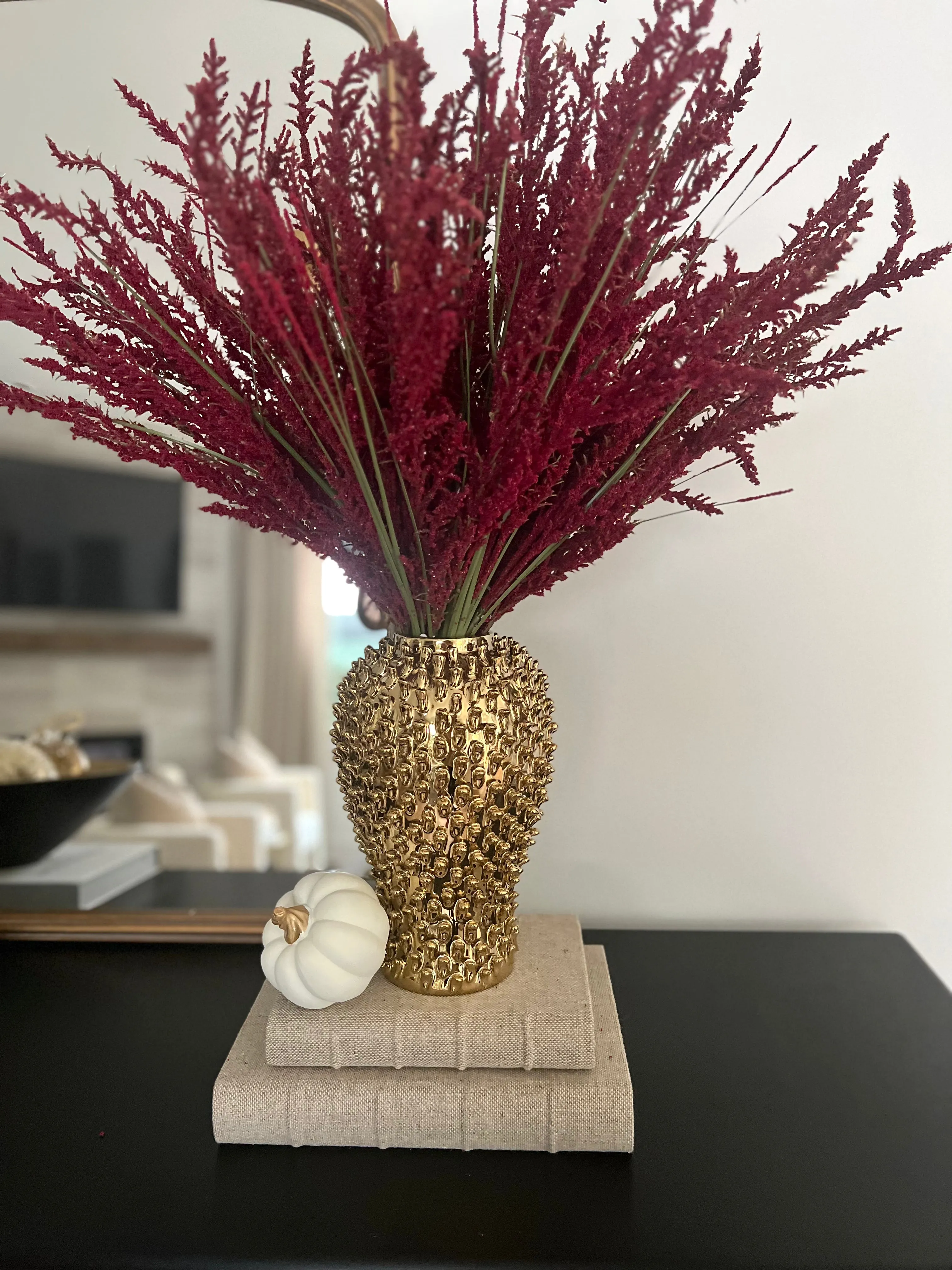 24” Burgundy Astilbe Bush
