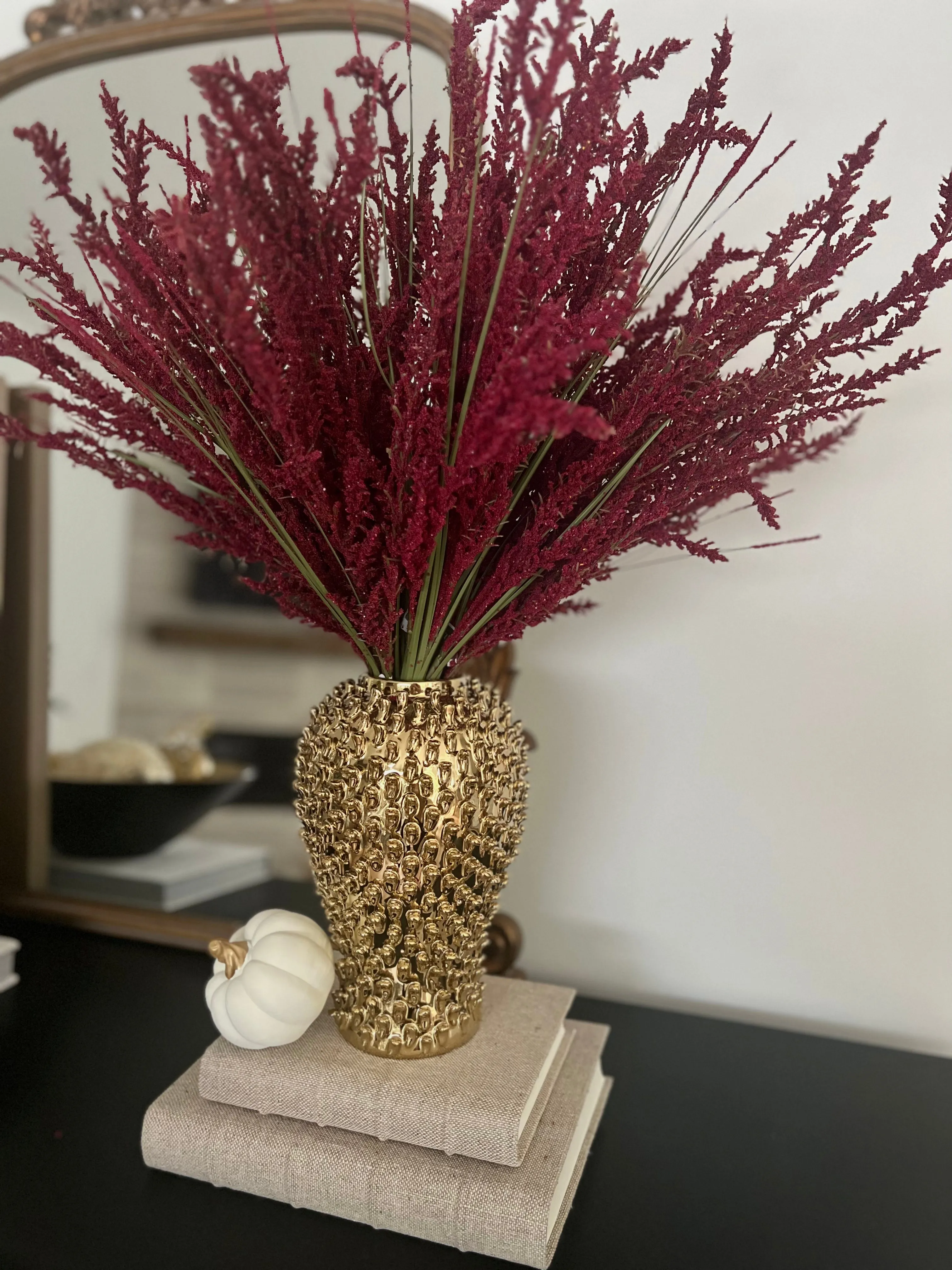24” Burgundy Astilbe Bush