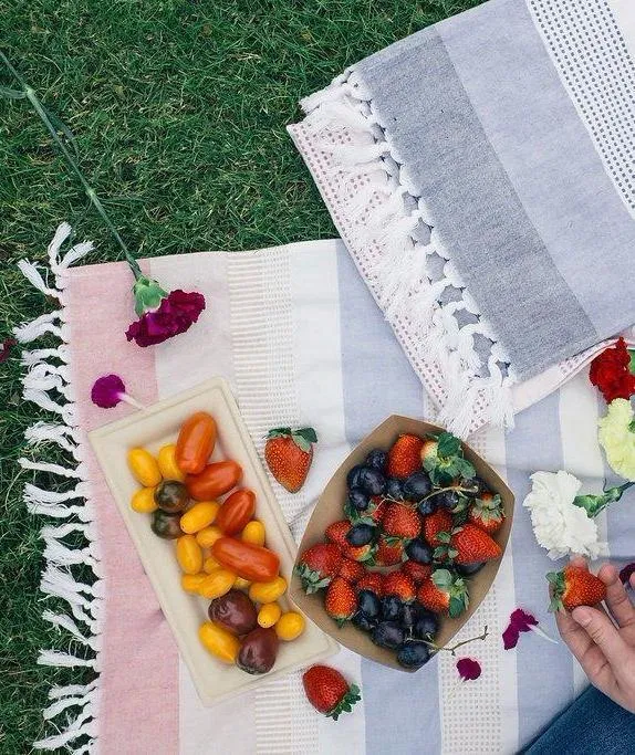 Blush Striped Beach Towel