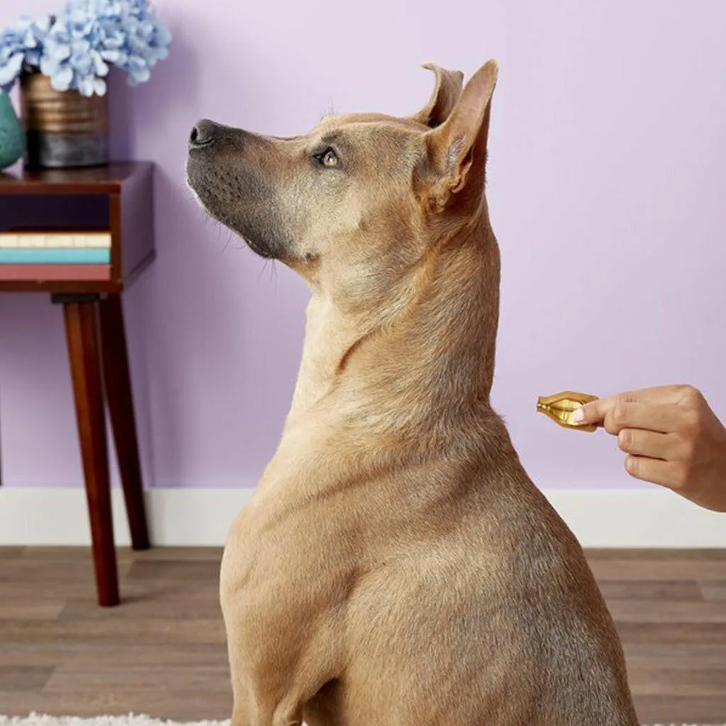Dermoscent Essential 6 Spot-On for Small Dogs up to 22 lbs (4 count)