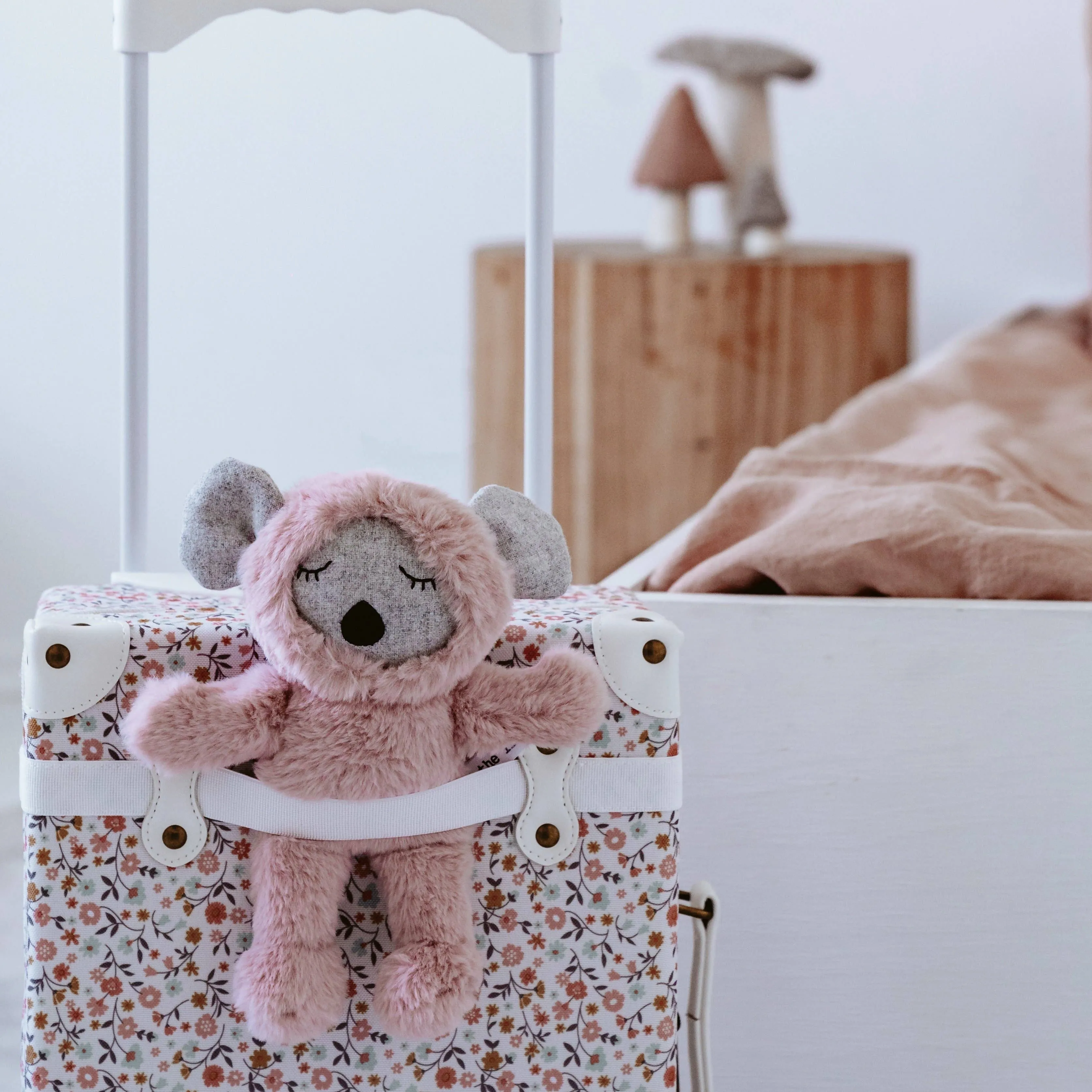 Molly Mouse