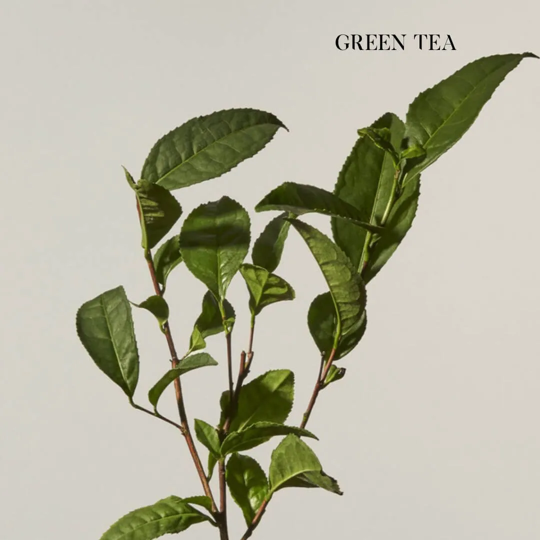 Zelens Tea Shot - Antioxidant Urban Defence Serum, 30ml
